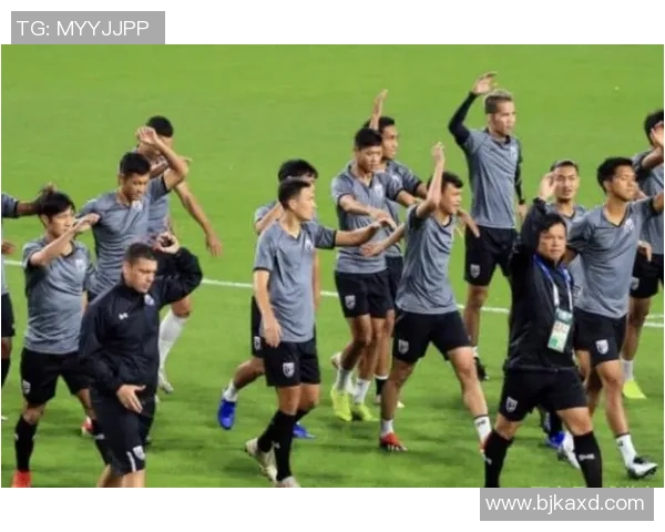 北京排球队在精英赛中的团队协作表现分析与点评